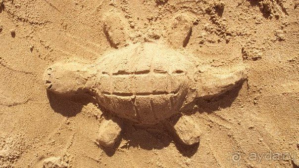 фото Mitsis Rinela Beach Resort & Spa