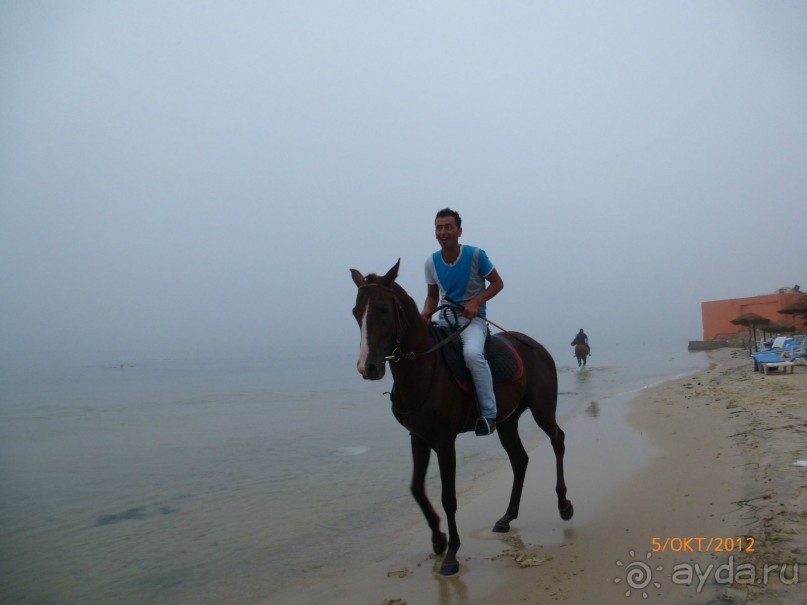 НАМ ОЧЕНЬ ПОНРАВИЛОСЬ.