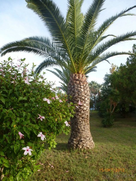 НАМ ОЧЕНЬ ПОНРАВИЛОСЬ.