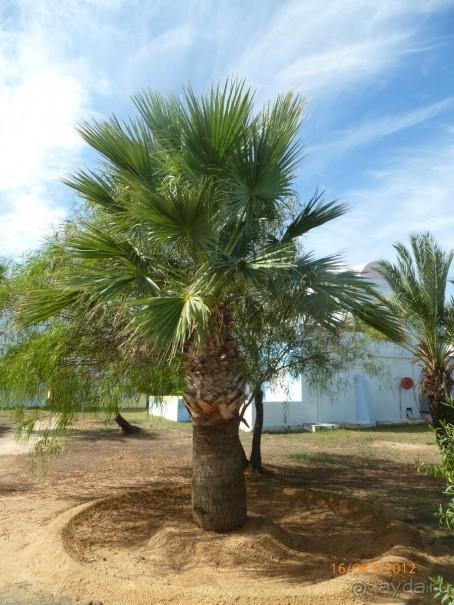 НАМ ОЧЕНЬ ПОНРАВИЛОСЬ.