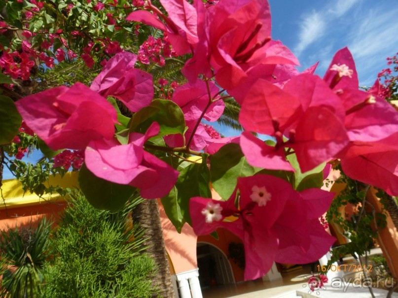 НАМ ОЧЕНЬ ПОНРАВИЛОСЬ.