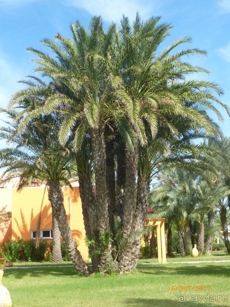 НАМ ОЧЕНЬ ПОНРАВИЛОСЬ.