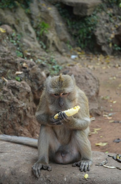 Тайланд - рай на земле.