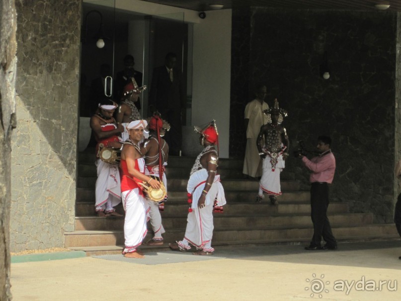 Очень даже неплохо...