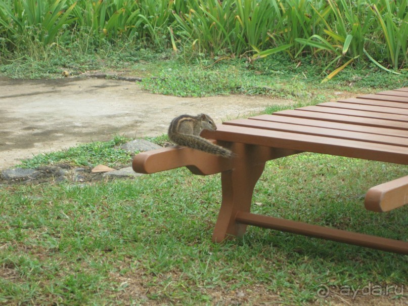 Очень даже неплохо...