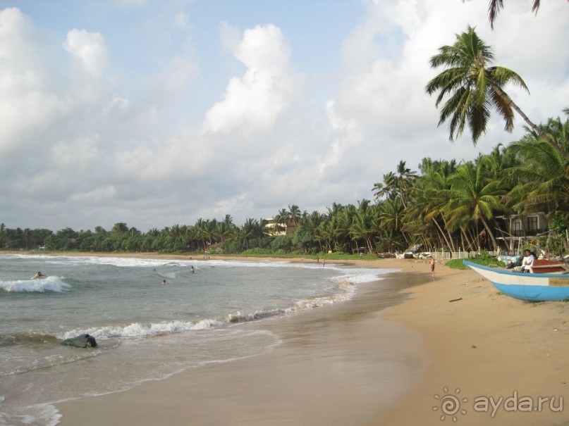 Очень даже неплохо...