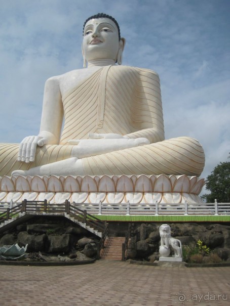 Очень даже неплохо...