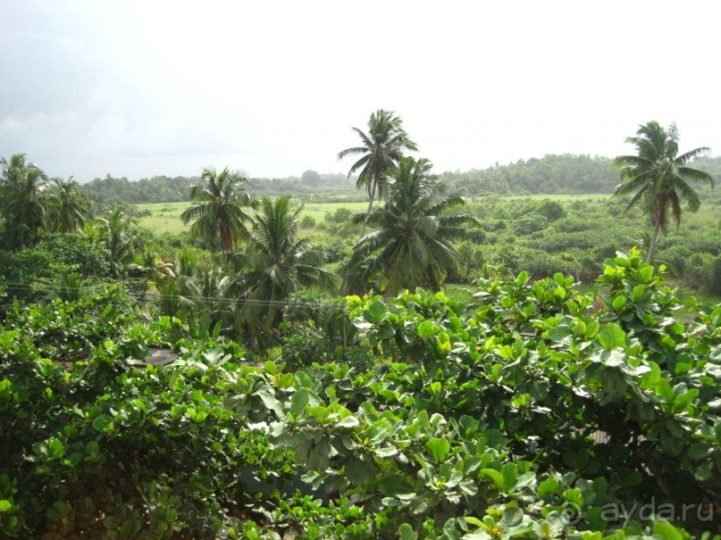 Очень даже неплохо...