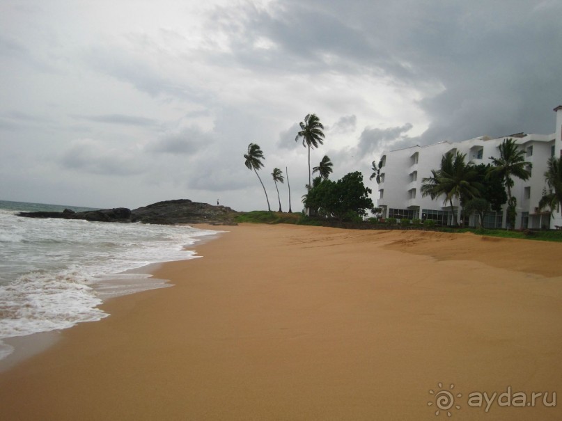 Очень даже неплохо...