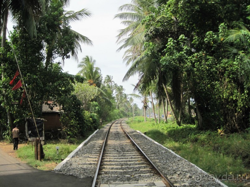 Очень даже неплохо...