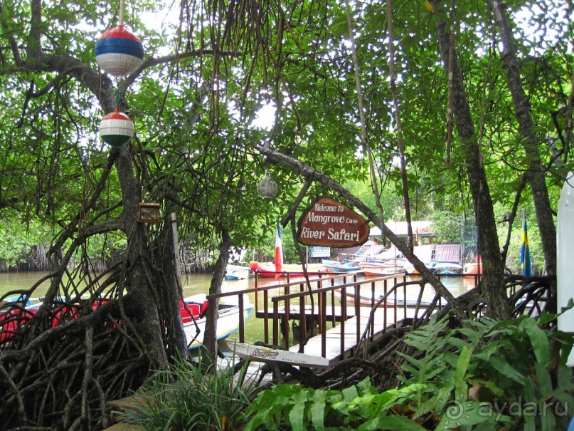 Очень даже неплохо...