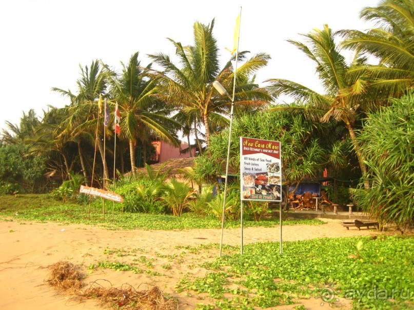 Очень даже неплохо...