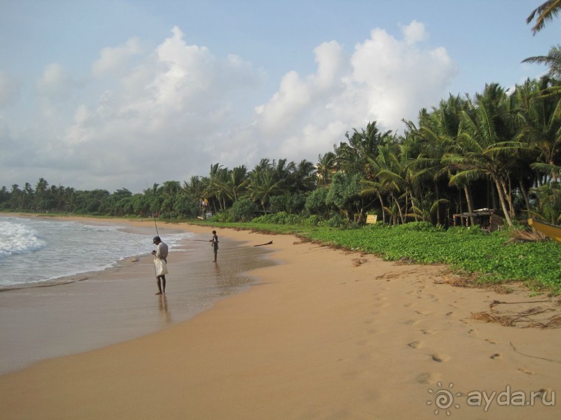 Очень даже неплохо...