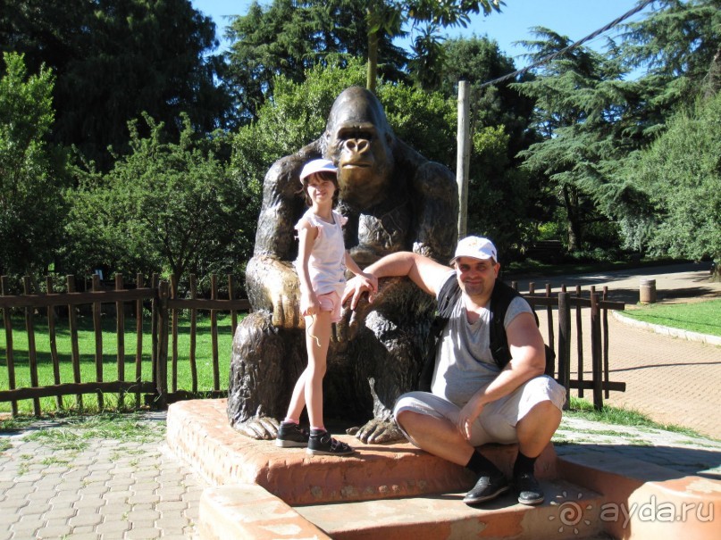 Поездка по ЮАР на машине (субъективный взгляд на ЮАР). Январь 2013 г.