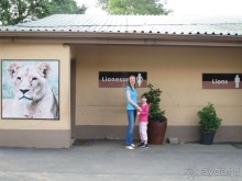 Поездка по ЮАР на машине (субъективный взгляд на ЮАР). Январь 2013 г.