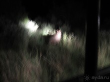 Поездка по ЮАР на машине (субъективный взгляд на ЮАР). Январь 2013 г.