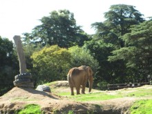 Поездка по ЮАР на машине (субъективный взгляд на ЮАР). Январь 2013 г.