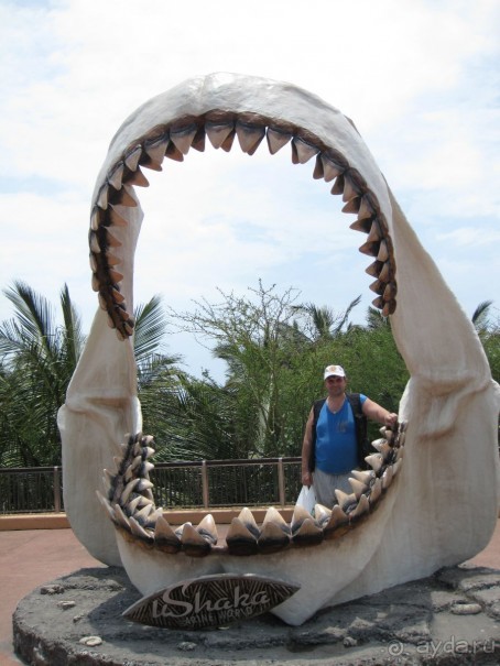 Поездка по ЮАР на машине (субъективный взгляд на ЮАР). Январь 2013 г.