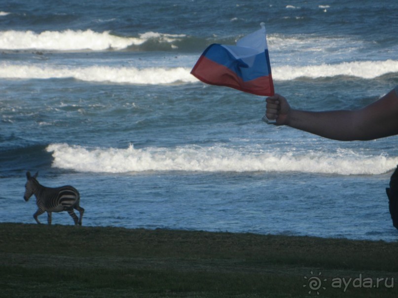 Поездка по ЮАР на машине (субъективный взгляд на ЮАР). Январь 2013 г.