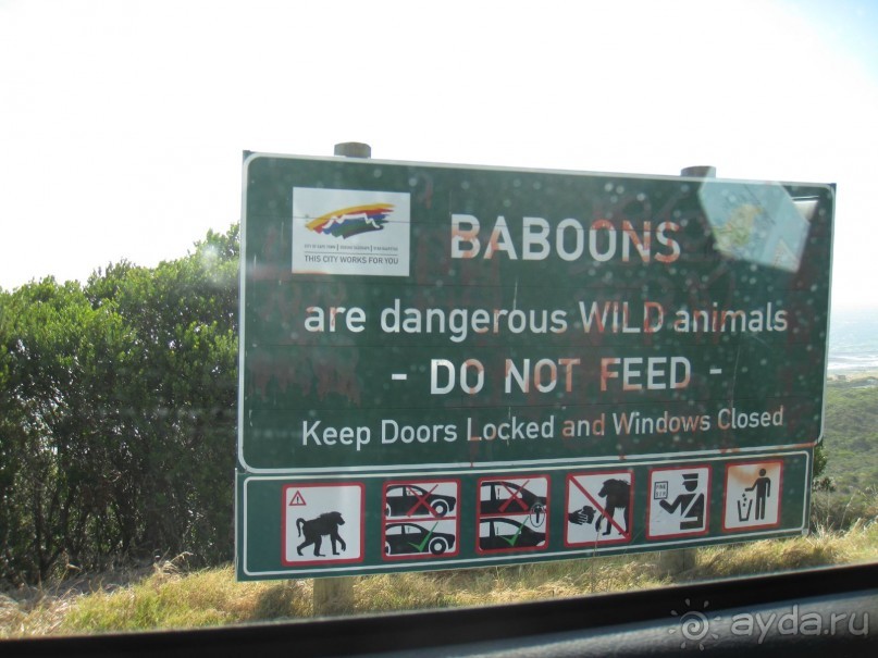 Поездка по ЮАР на машине (субъективный взгляд на ЮАР). Январь 2013 г.