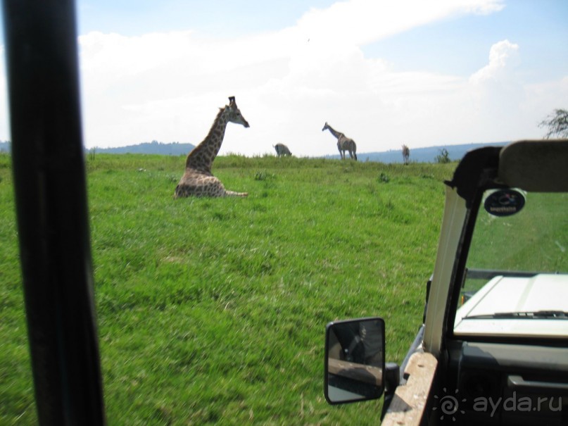 Поездка по ЮАР на машине (субъективный взгляд на ЮАР). Январь 2013 г.