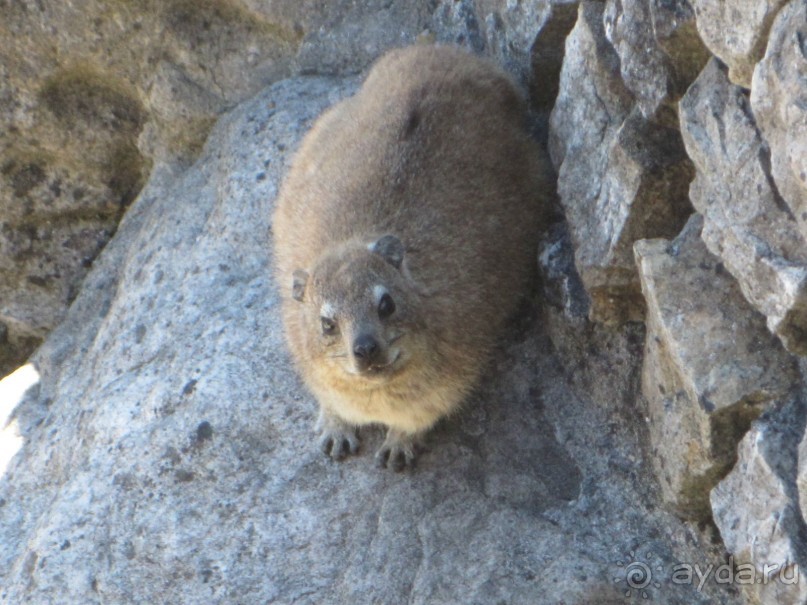 Поездка по ЮАР на машине (субъективный взгляд на ЮАР). Январь 2013 г.