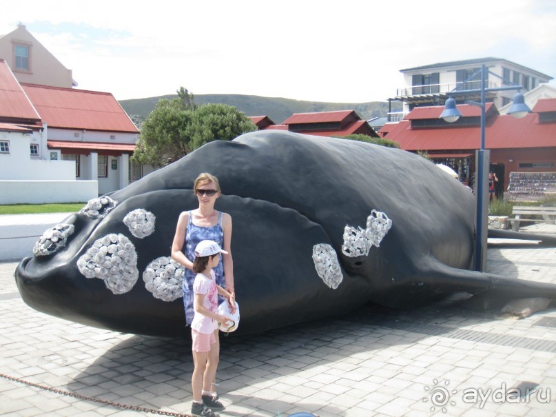 Поездка по ЮАР на машине (субъективный взгляд на ЮАР). Январь 2013 г.