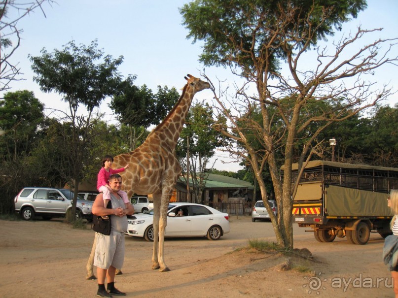 Поездка по ЮАР на машине (субъективный взгляд на ЮАР). Январь 2013 г.