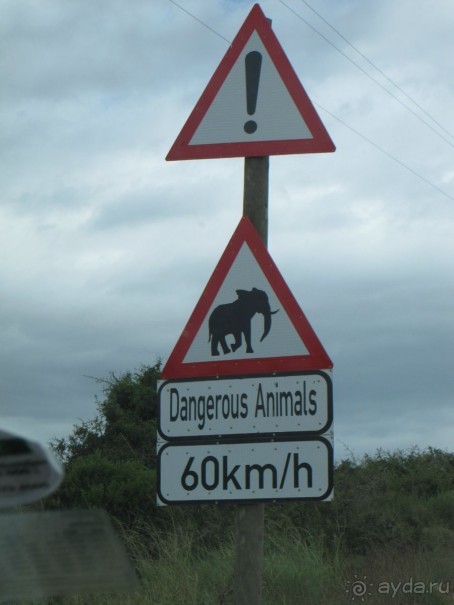 Поездка по ЮАР на машине (субъективный взгляд на ЮАР). Январь 2013 г.