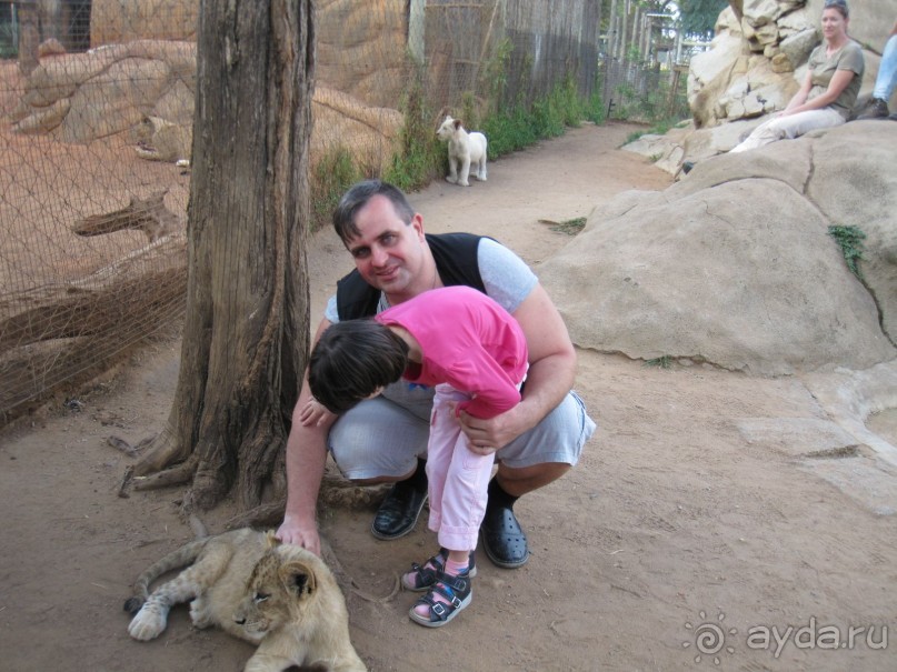 Поездка по ЮАР на машине (субъективный взгляд на ЮАР). Январь 2013 г.