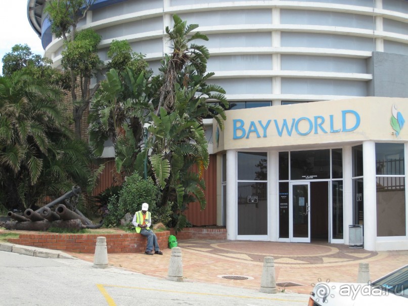 Поездка по ЮАР на машине (субъективный взгляд на ЮАР). Январь 2013 г.