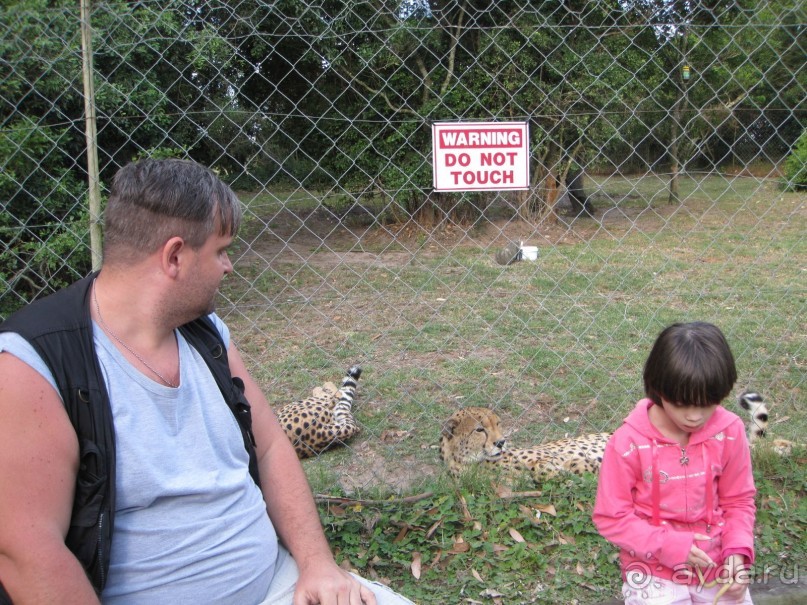 Поездка по ЮАР на машине (субъективный взгляд на ЮАР). Январь 2013 г.