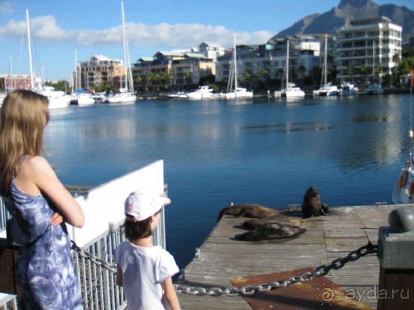 Поездка по ЮАР на машине (субъективный взгляд на ЮАР). Январь 2013 г.