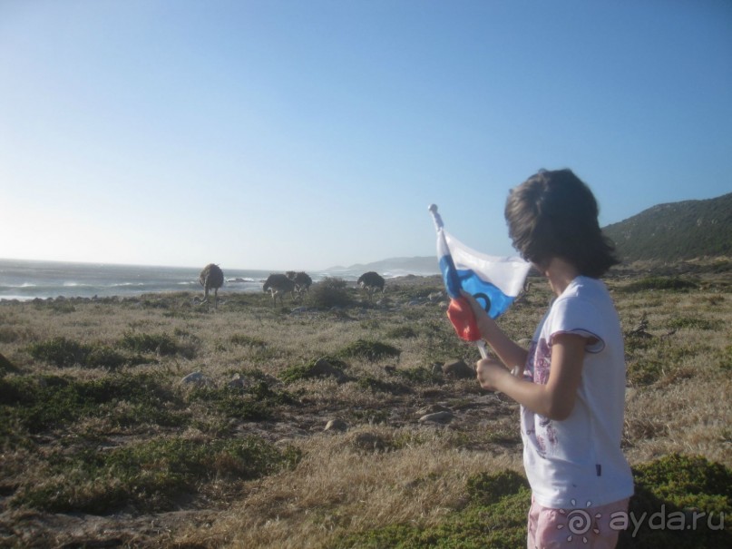 Поездка по ЮАР на машине (субъективный взгляд на ЮАР). Январь 2013 г.
