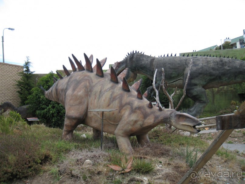 Поездка по ЮАР на машине (субъективный взгляд на ЮАР). Январь 2013 г.