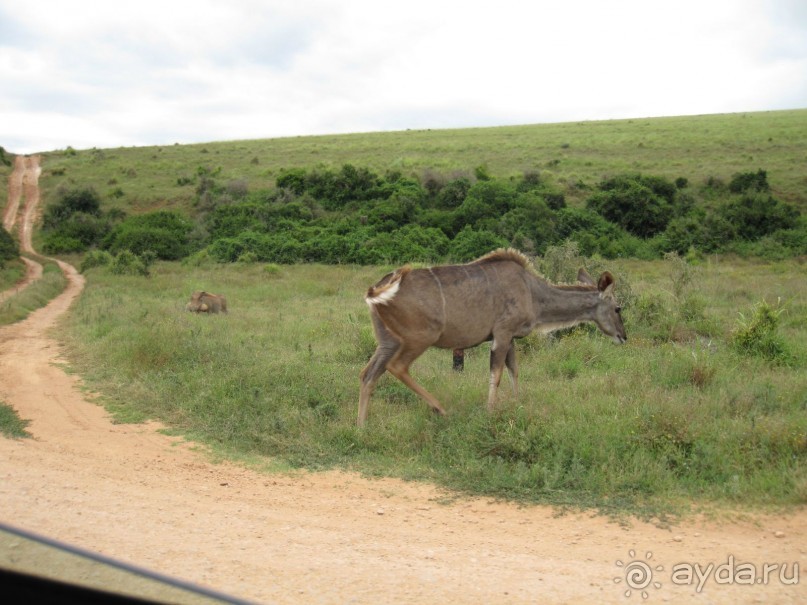 Поездка по ЮАР на машине (субъективный взгляд на ЮАР). Январь 2013 г.