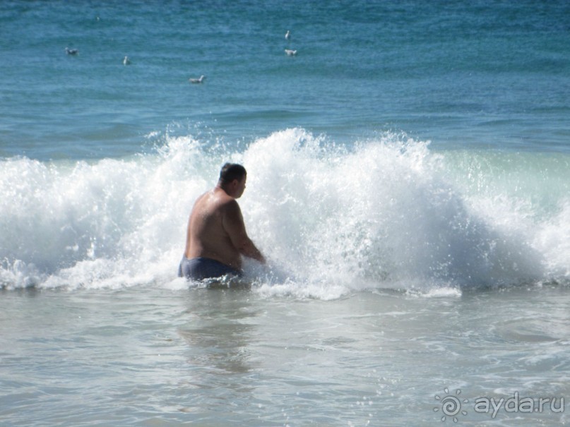 Поездка по ЮАР на машине (субъективный взгляд на ЮАР). Январь 2013 г.