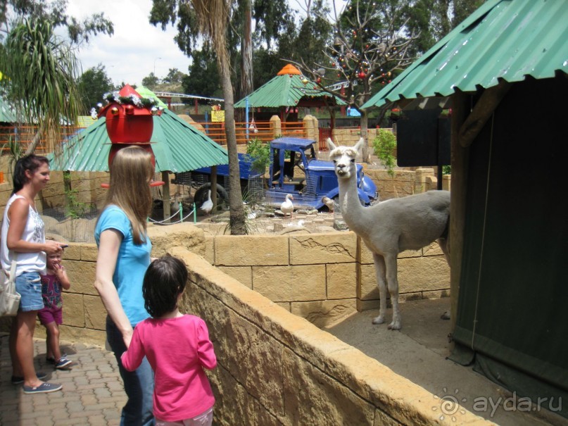 Поездка по ЮАР на машине (субъективный взгляд на ЮАР). Январь 2013 г.