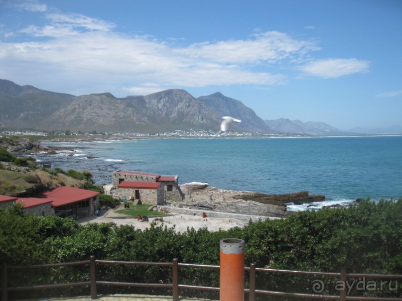 Поездка по ЮАР на машине (субъективный взгляд на ЮАР). Январь 2013 г.