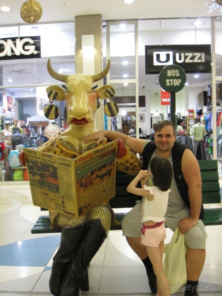 Поездка по ЮАР на машине (субъективный взгляд на ЮАР). Январь 2013 г.