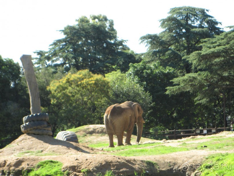 Поездка по ЮАР на машине (субъективный взгляд на ЮАР). Январь 2013 г.