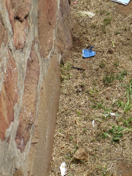 Поездка по ЮАР на машине (субъективный взгляд на ЮАР). Январь 2013 г.