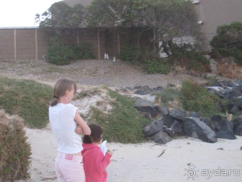 Поездка по ЮАР на машине (субъективный взгляд на ЮАР). Январь 2013 г.