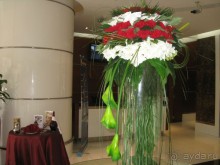 это апортаменты восхищают