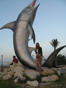 Хороший отдых.