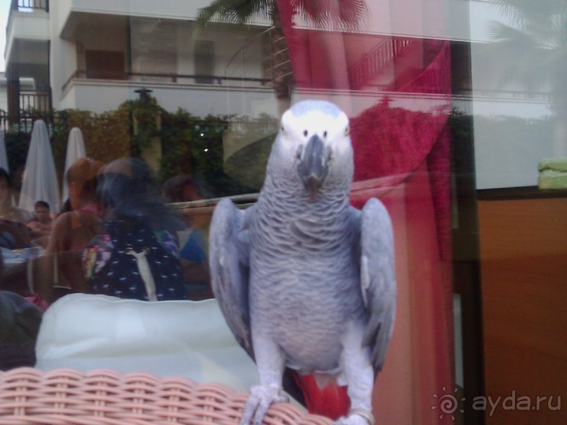 Достаточно приличный отель