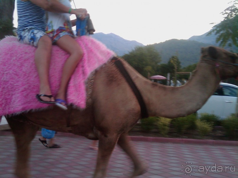 фото Coche Paradise