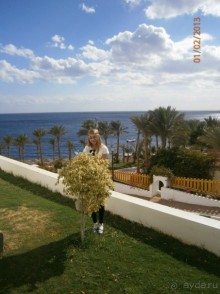 фото Coral Beach Resort Tiran
