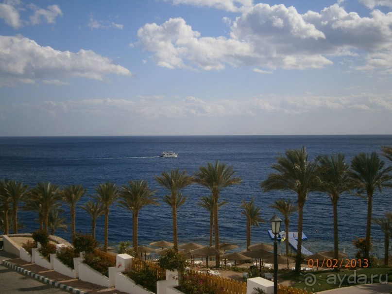 фото Coral Beach Resort Tiran