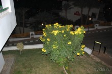 фото Flamenco Hotel Villas & Beach Club